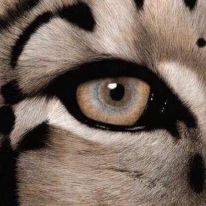 美丽儿媳双飞小说
